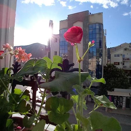 Kiwi Apartments بودفا المظهر الخارجي الصورة
